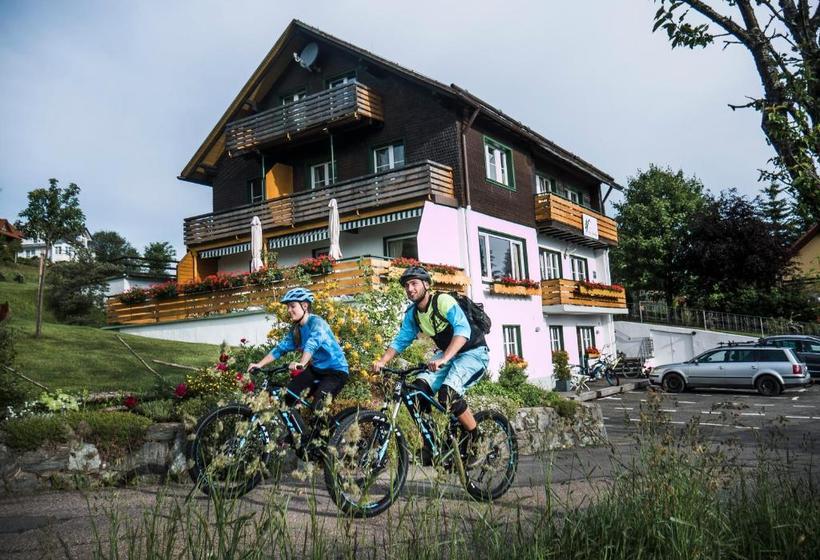 Pansiyon Schwarzwald-chalet Feldberg