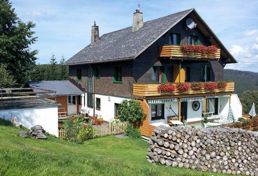 Pansiyon Schwarzwald-chalet Feldberg