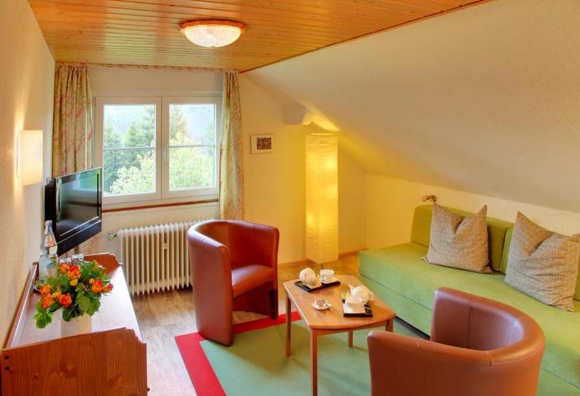 Pansiyon Schwarzwald-chalet Feldberg