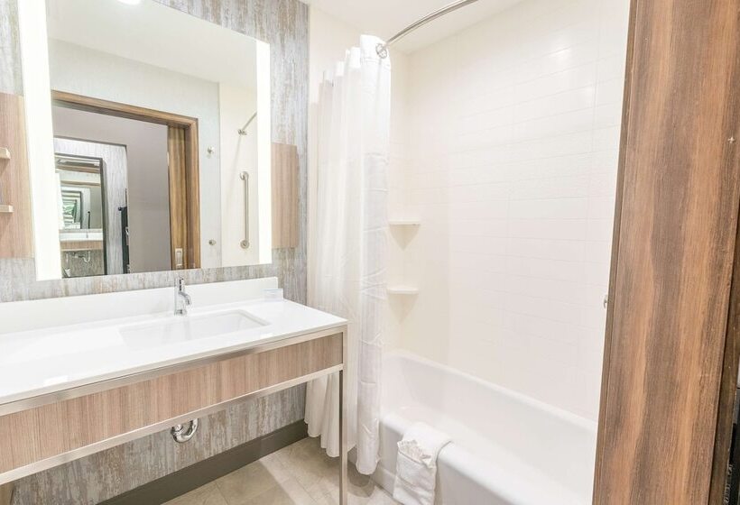 فندق Hilton Garden Inn Wichita Downtown