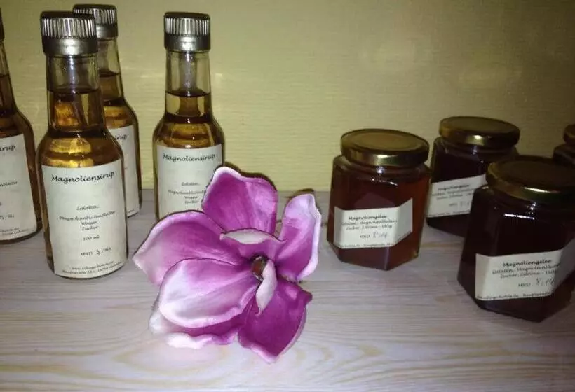 ペンション Blütenhotel Village