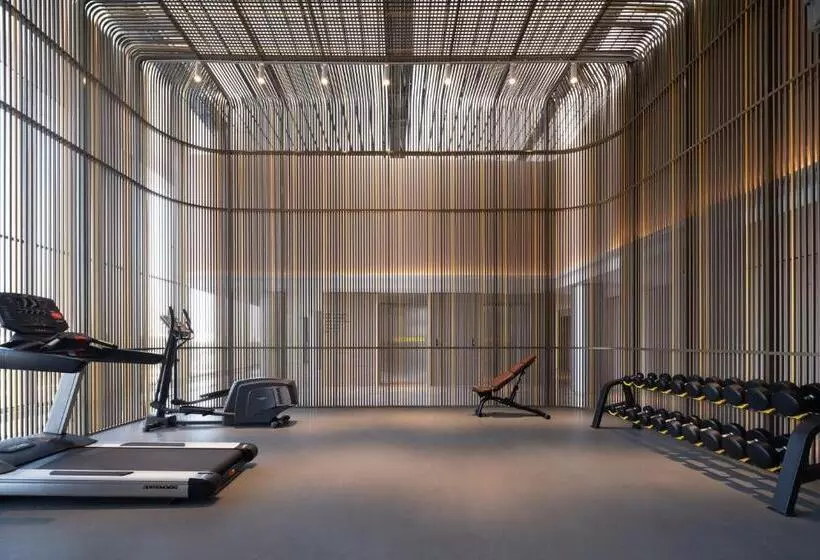 Aerotel Beijing Daxing International Airport