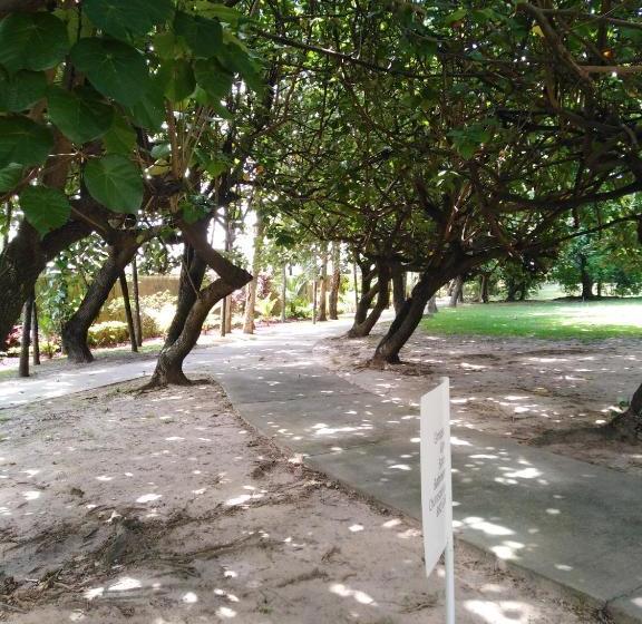 هتل Buganvilla 340 Suites In Shared Vip Apartment