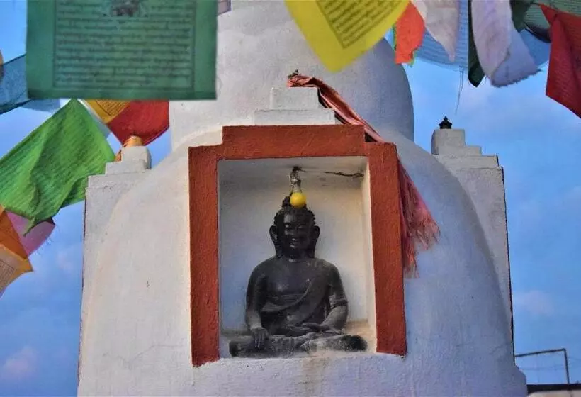 پانسیون Berg House Cafe And