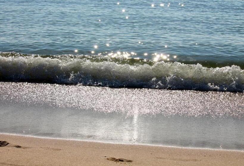 پانسیون Guest House Alkor