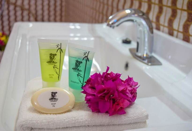 בית מלון כפרי Tembo Palace