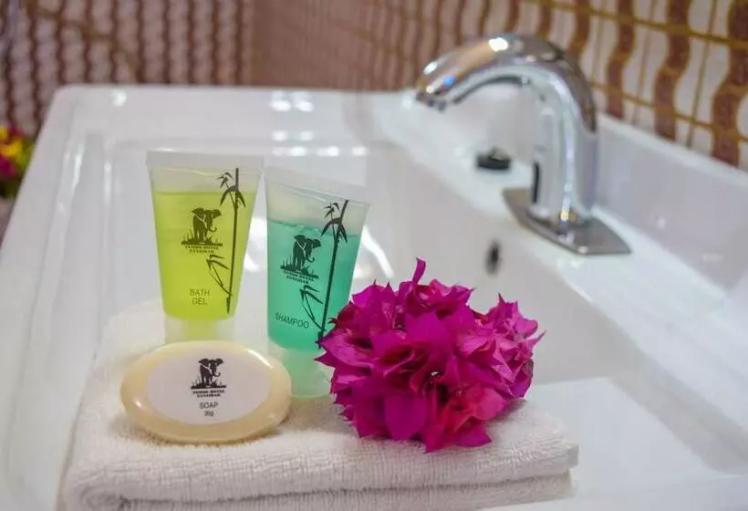 ホテル Tembo Palace