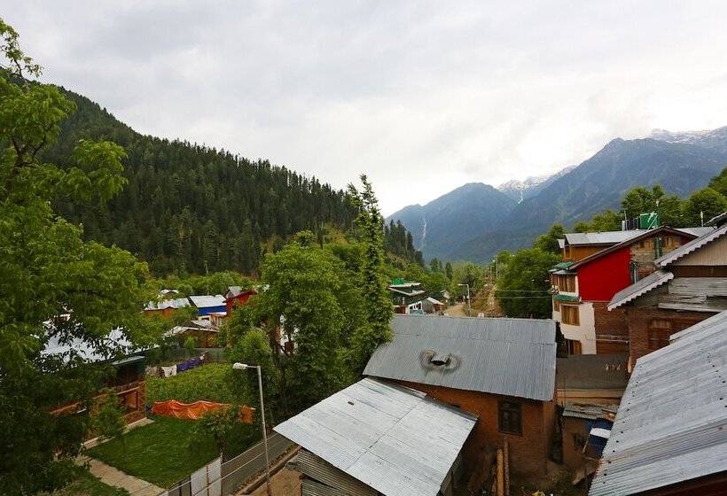 Oyo 9083 Hotel New Tourist Palace