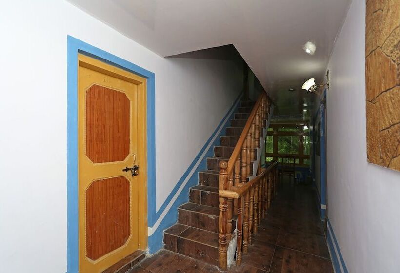 Oyo 9083 Hotel New Tourist Palace