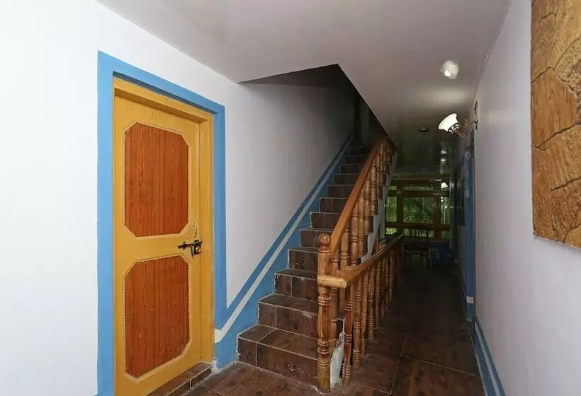 Oyo 9083 Hotel New Tourist Palace