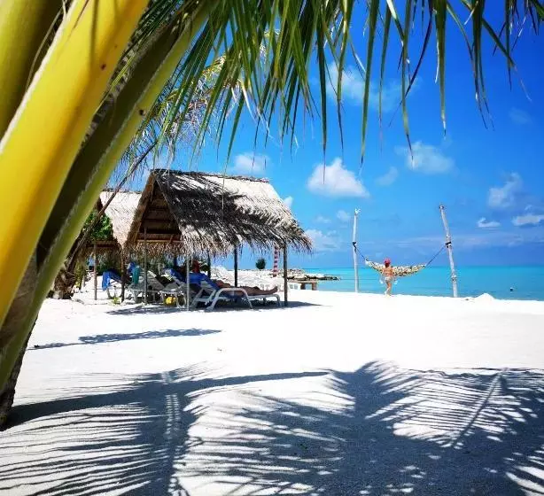 پانسیون Mirian Sky