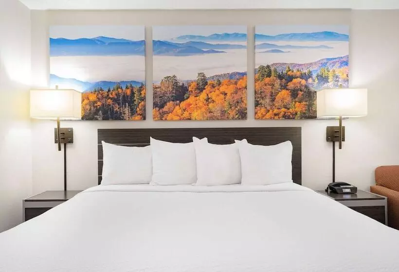 בית מלון כפרי Days Inn By Wyndham Hamilton