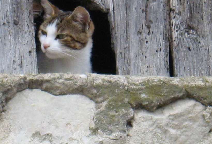 ペンション La Framboisière