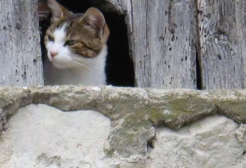 Majatalo La Framboisière