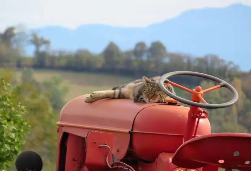 Majatalo Maison D'hôtes Marimpoey