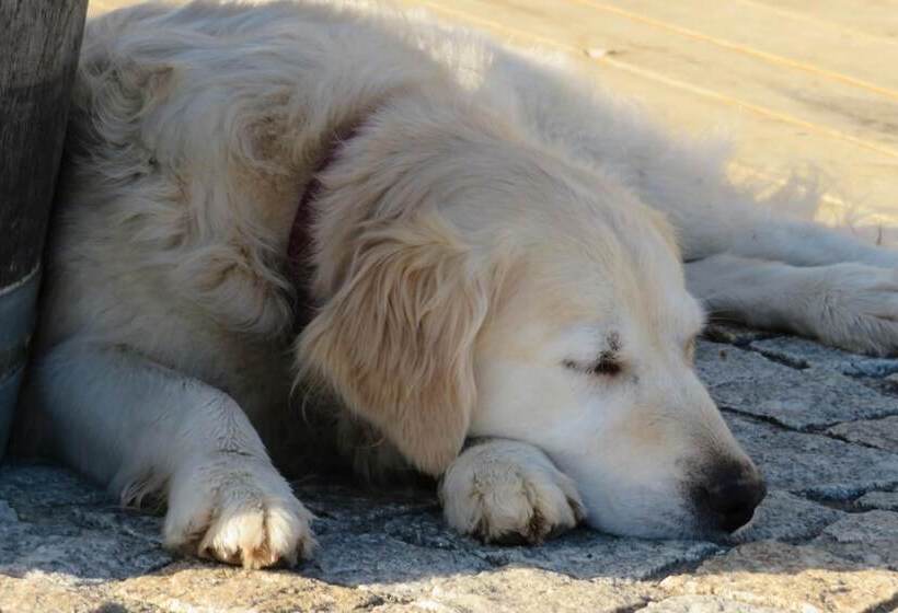 펜션 Maison D'hôtes Marimpoey