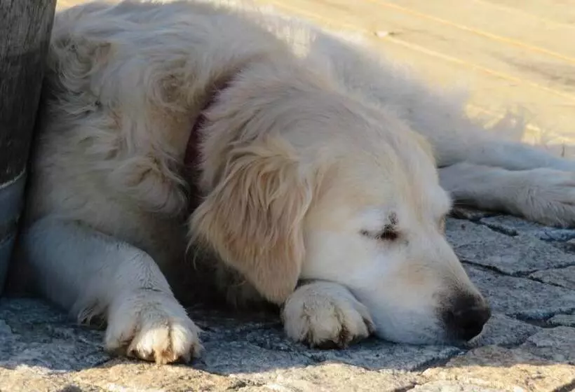 Majatalo Maison D'hôtes Marimpoey