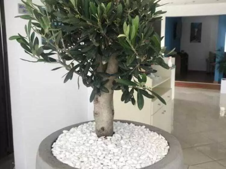 ホテル Carisa Maleme