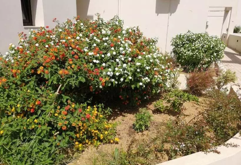 ホテル Carisa Maleme