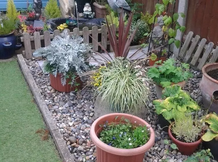 ペンション Rosevale Bed & Breakfast