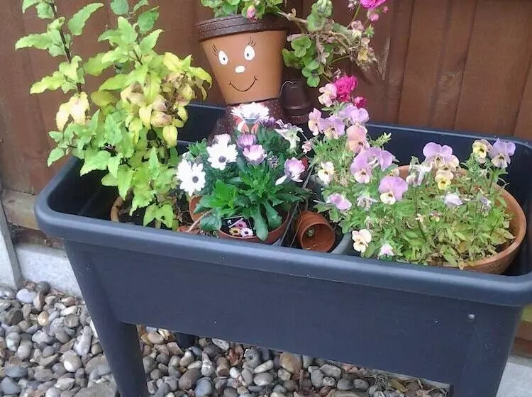 ペンション Rosevale Bed & Breakfast