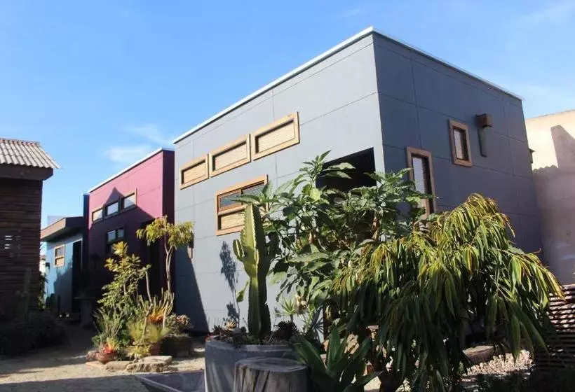 Aamiaismajoitus (B&B) Los Cactus De Islón