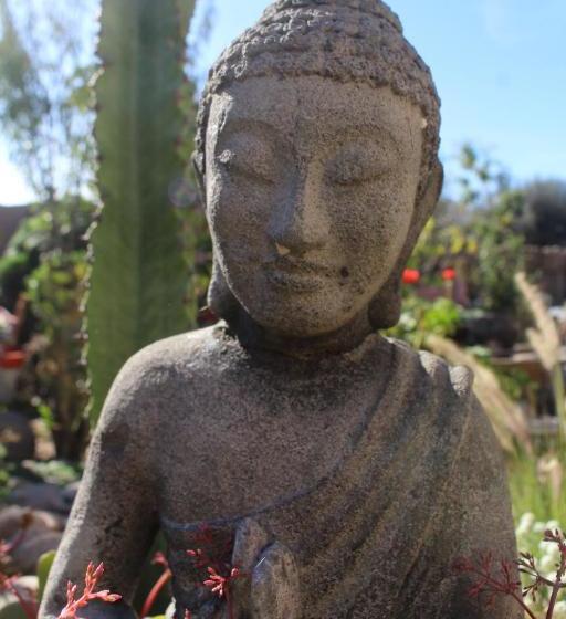 צימר Los Cactus De Islón