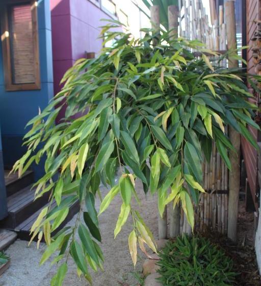 צימר Los Cactus De Islón