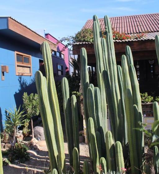 צימר Los Cactus De Islón