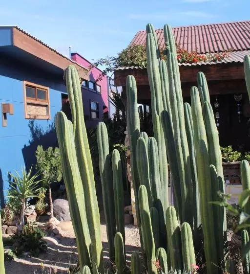 Aamiaismajoitus (B&B) Los Cactus De Islón