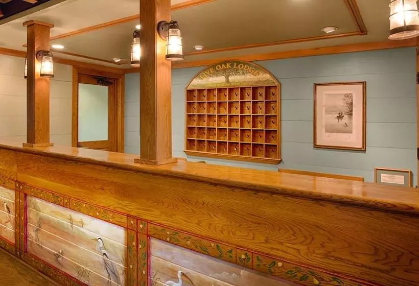 Disney S Hilton Head Island Resort