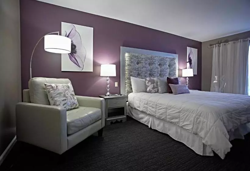 Szálloda Don Hall's Guesthouse