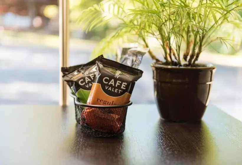 ホテル Glenstone Lodge