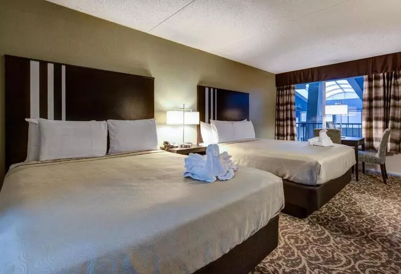 ホテル Glenstone Lodge