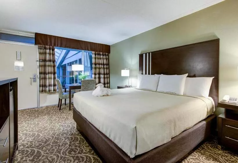 ホテル Glenstone Lodge