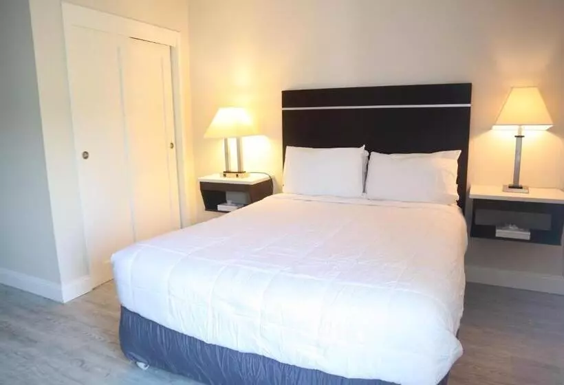 Мотель The Shore Club