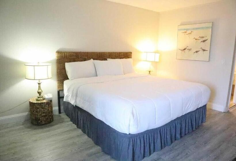 Motel The Shore Club