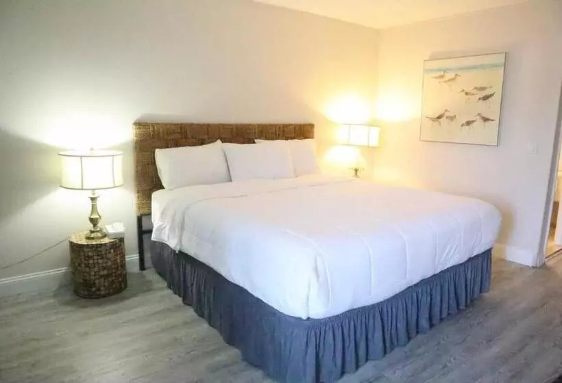 Мотель The Shore Club