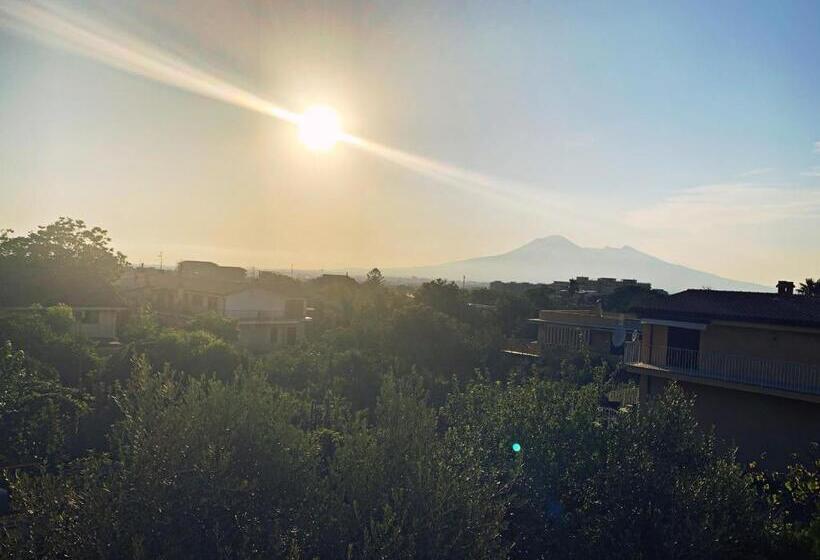 호텔 Due Pini Conte