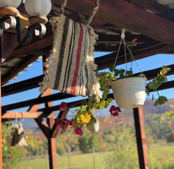 پانسیون Casa Albert Valea Avrigului