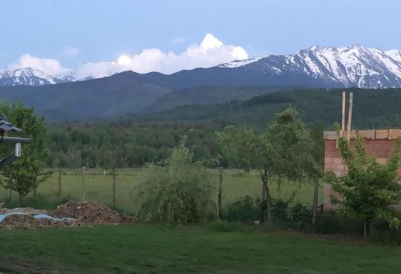 پانسیون Casa Albert Valea Avrigului