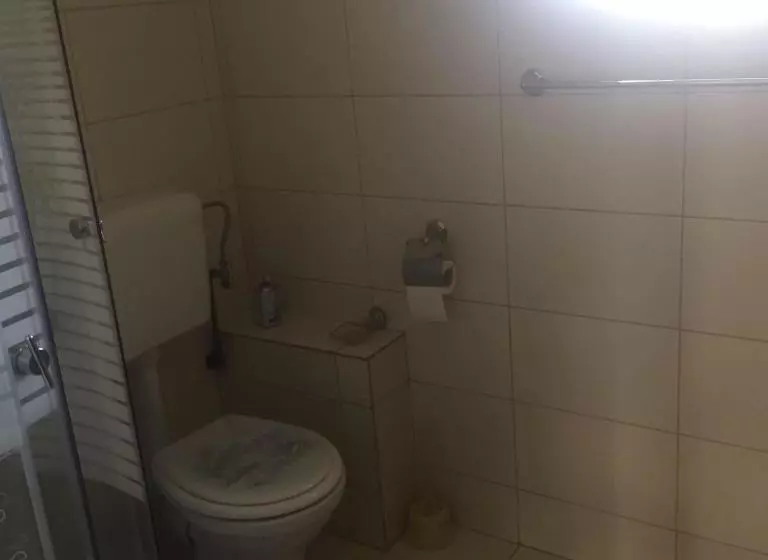 ペンション Casa Albert Valea Avrigului