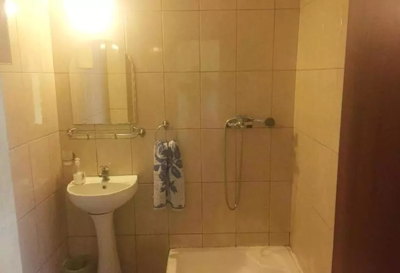 ペンション Casa Albert Valea Avrigului