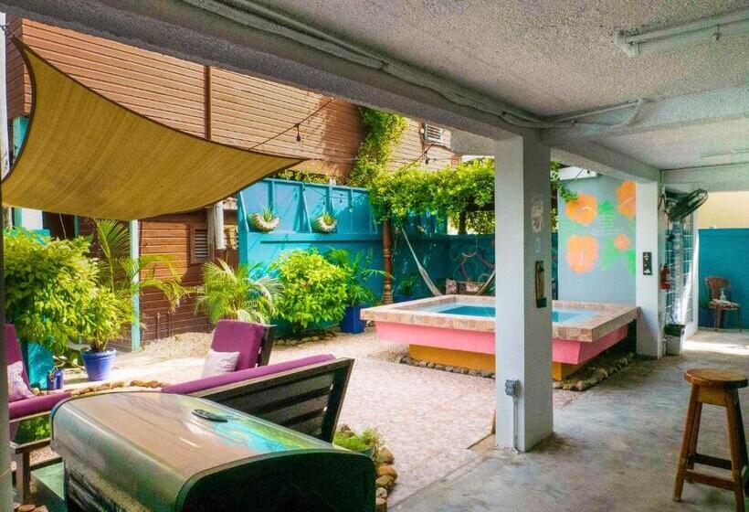 ホテル Drift Inn San Pedro