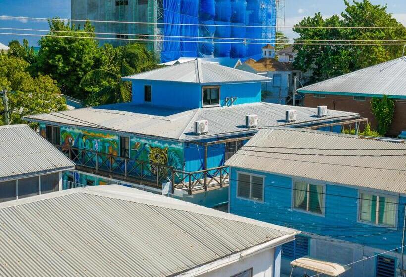 ホテル Drift Inn San Pedro