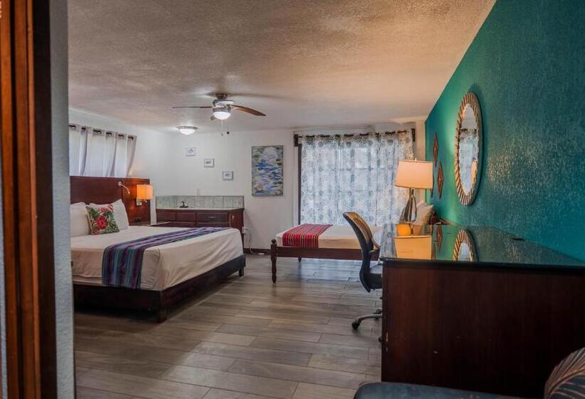 ホテル Drift Inn San Pedro