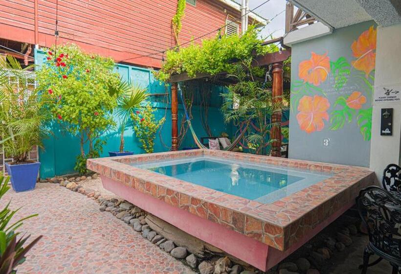 ホテル Drift Inn San Pedro