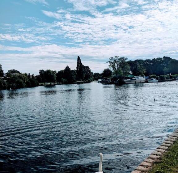 فندق Reading Serviced Rooms