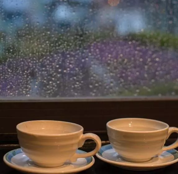 هتل The K Rin Villa