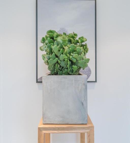 ペンション Hangzhou Persimmon Tree Guesthouse